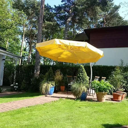 Pod Sosnami * Jurata