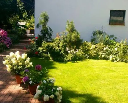 Pod Sosnami * Jurata