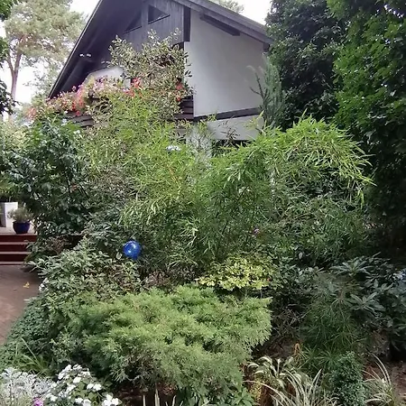 Pod Sosnami Appartement Jurata