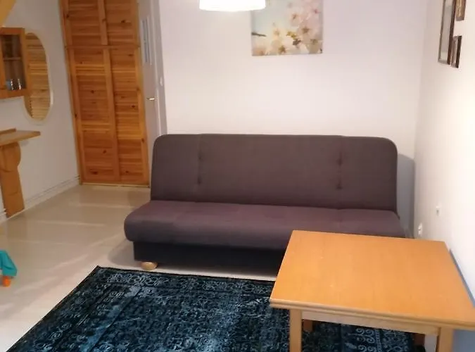 公寓 Pod Sosnami *