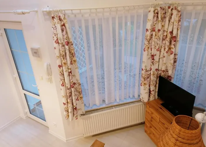 Pod Sosnami 公寓 *