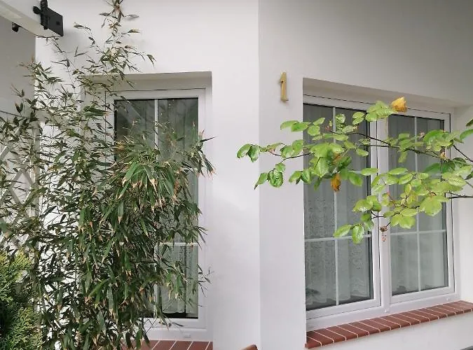 Pod Sosnami * 拉塔