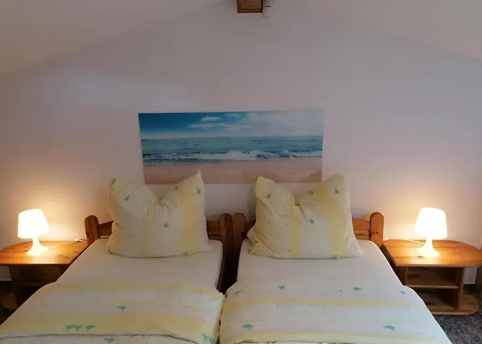 公寓 Pod Sosnami *