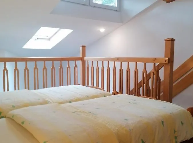 公寓 Pod Sosnami *