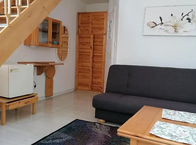 Pod Sosnami 公寓 拉塔